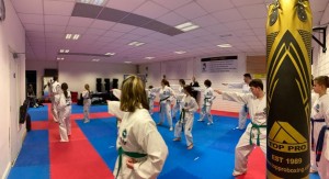 mitchelstown-taekwondo