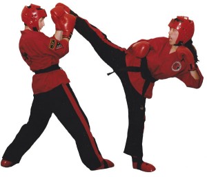 Master Frank Murphy's Biography - Author, Martial Arts Consultant and Taekwondo Instructor