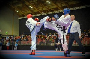 Taekwondo Champions Sparring